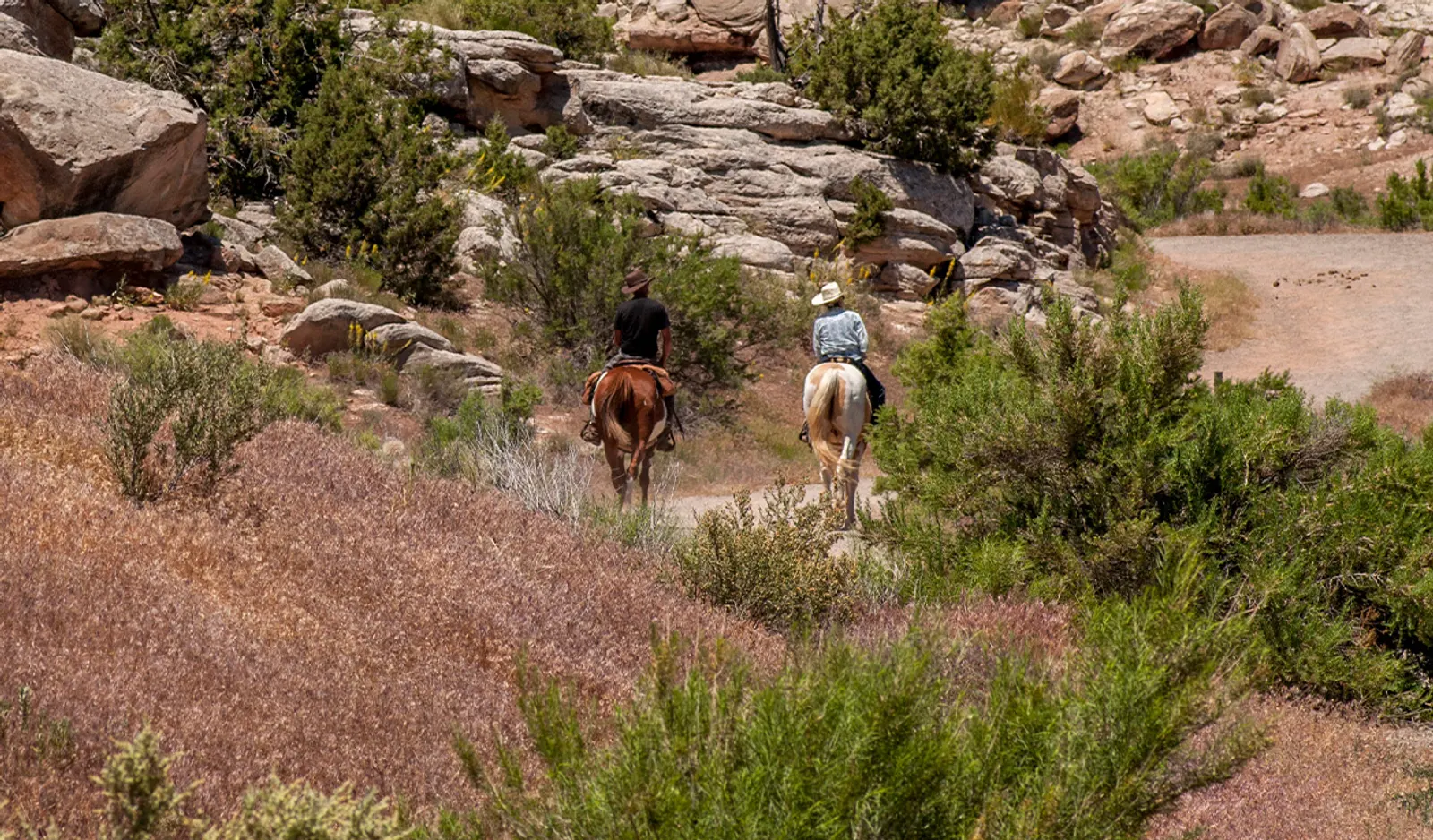 Horse riding in the Rockies
