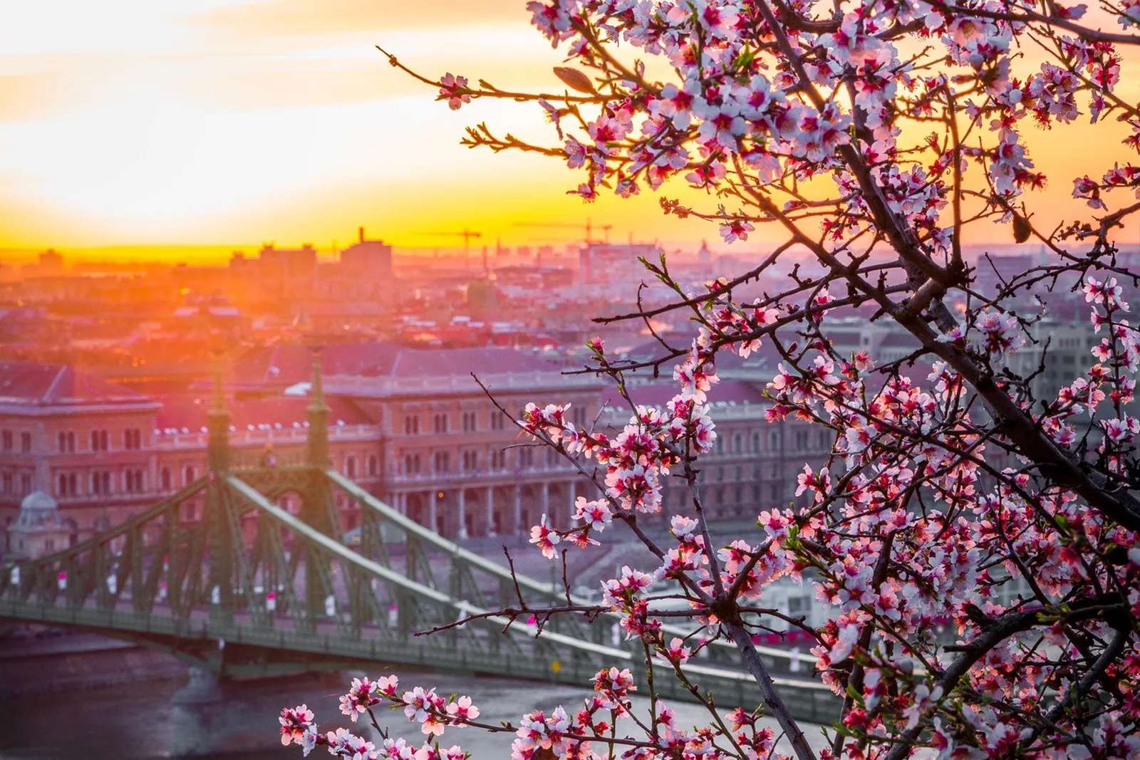 Private tours to Budapest