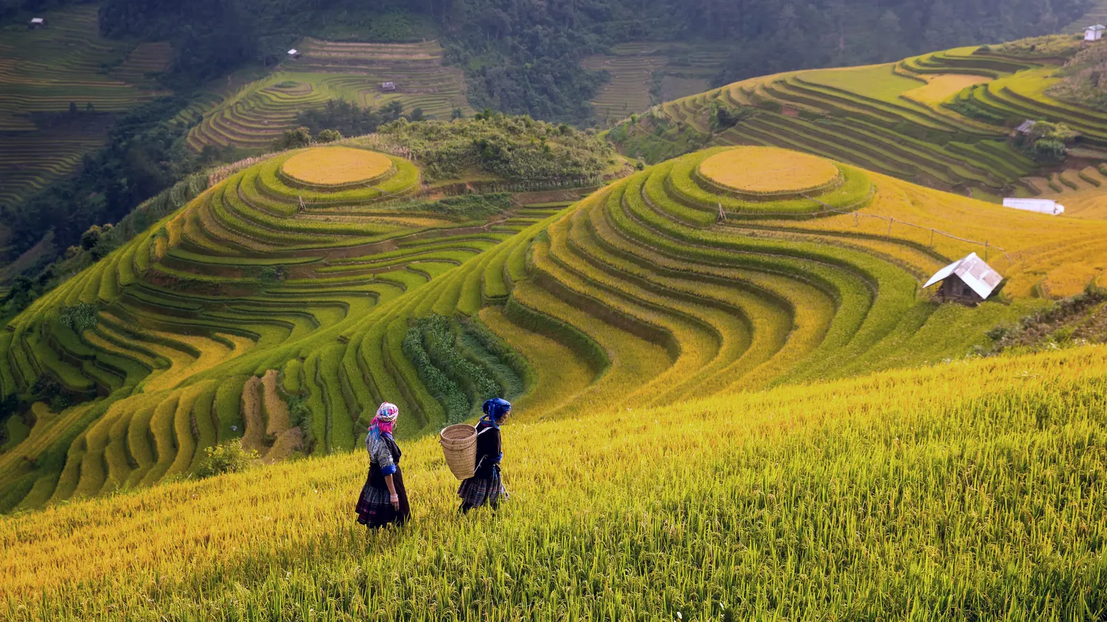 Vietnam luxury travel
