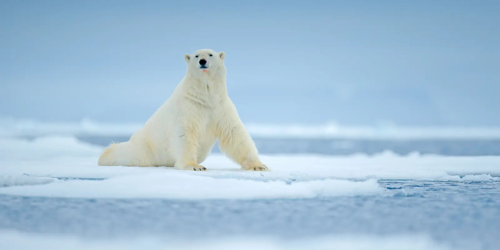An Expedition to a Private Base Camp in Svalbard