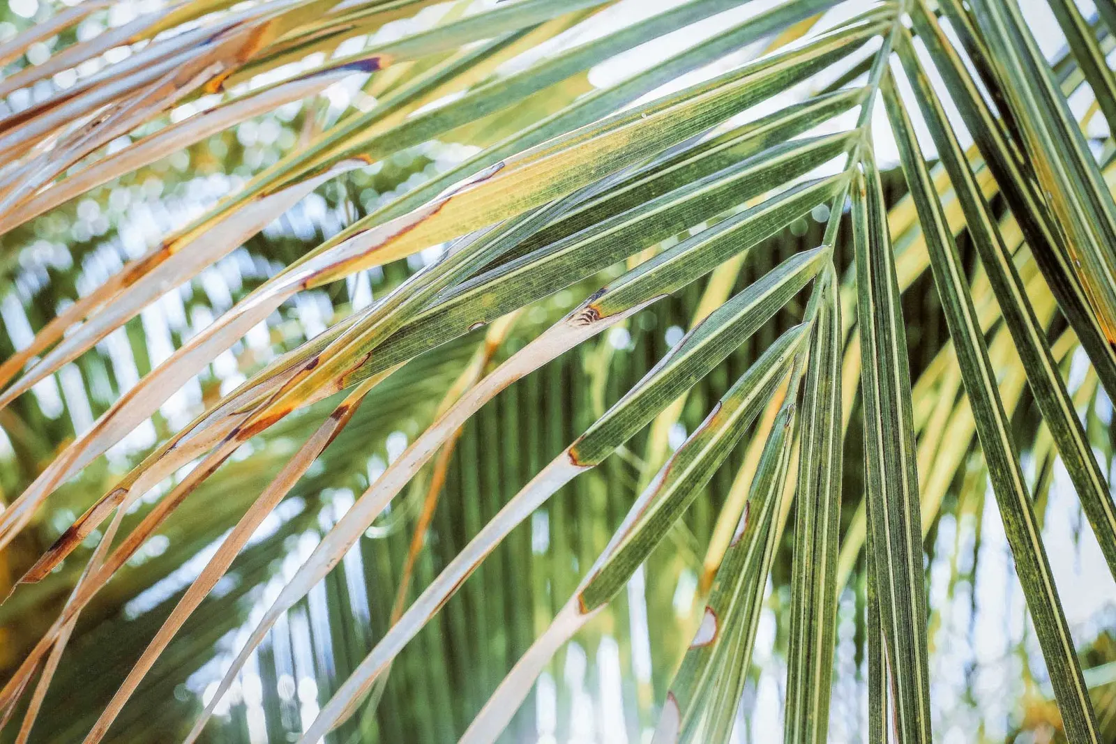 More about Turks and Caicos