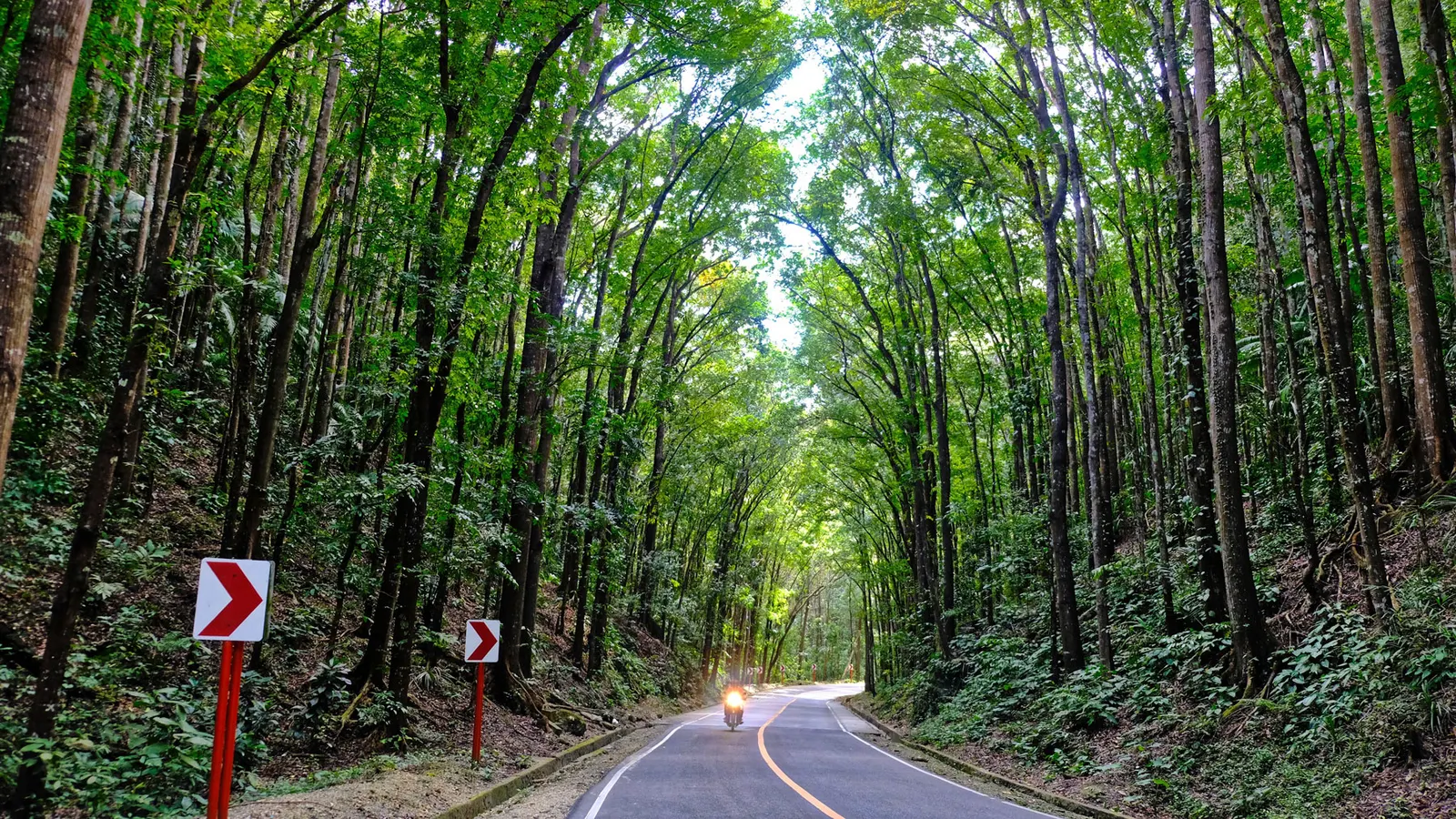 Biking in Bohol