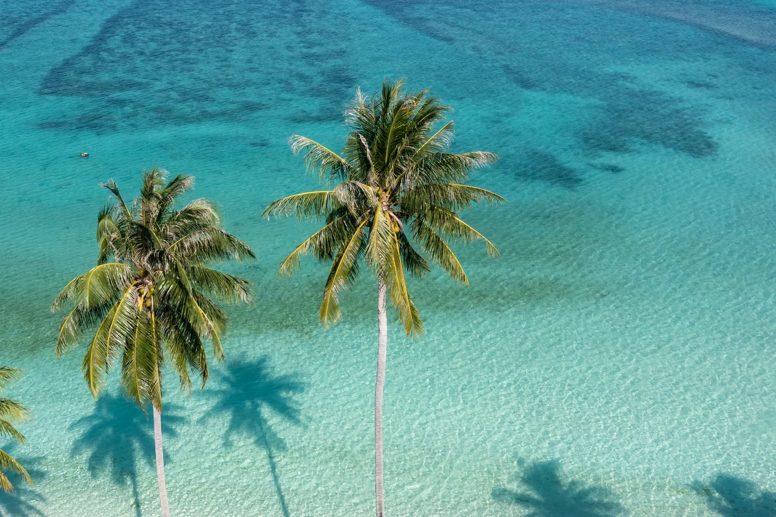 Mozambique beach