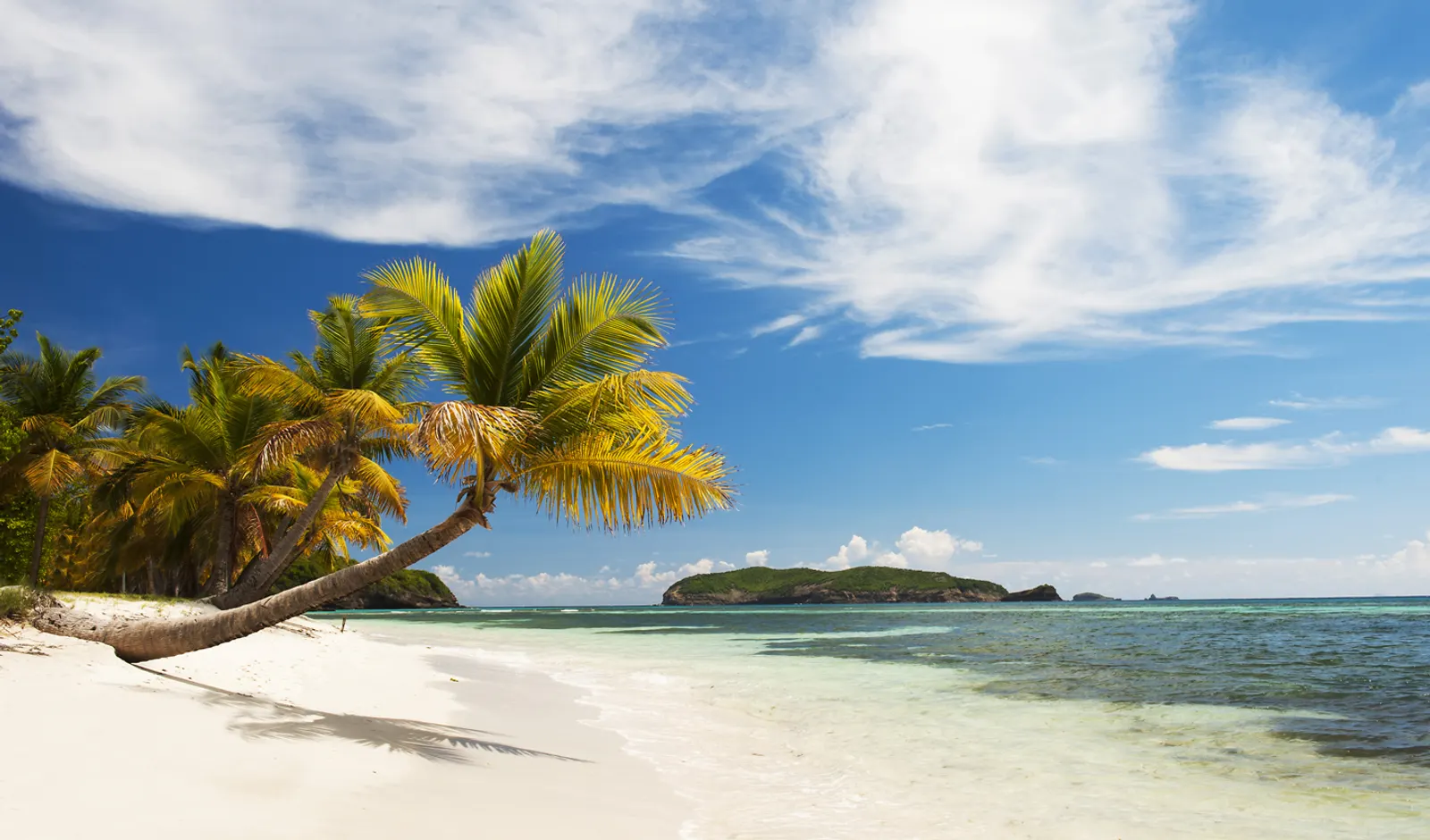 Caribbean