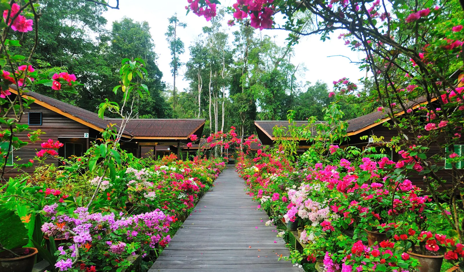 Laos
