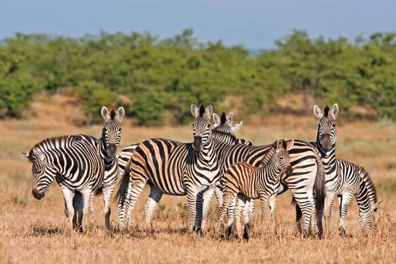 Cape Town, Klein Karoo & the Eastern Cape: A South African Adventure