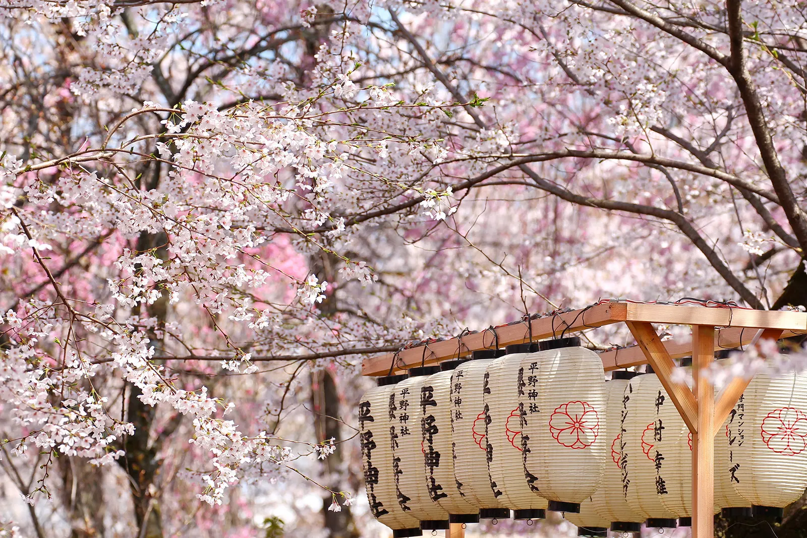Japan luxury travel