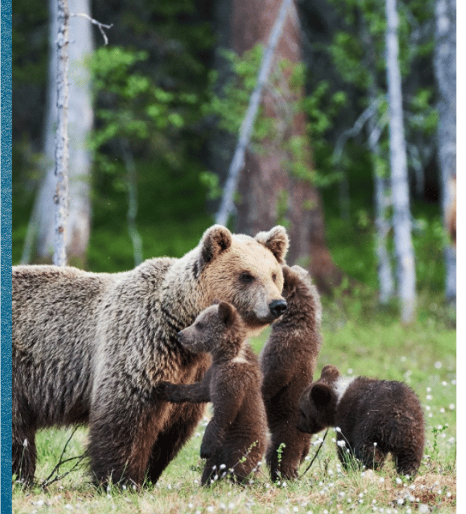 Alaska, One Week to Wander, Black Tomato, Luxury Travel