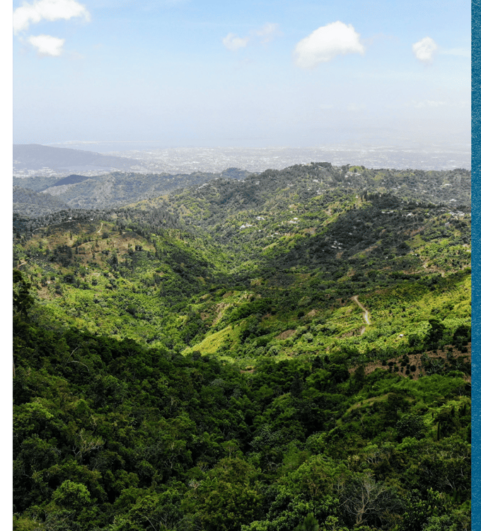 Jamaica, One Week to Wander, Black Tomato, Luxury Travel