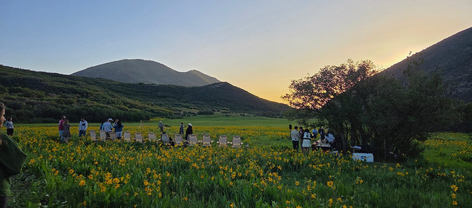 New Zealand: An Unforgettable Family Celebration
