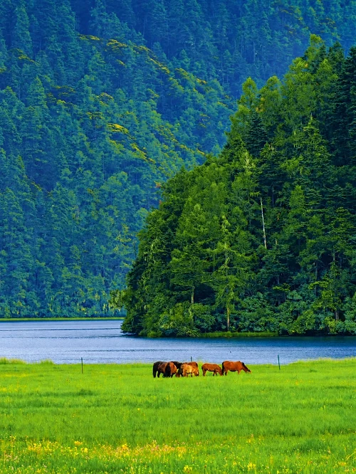Yunnan travel in August