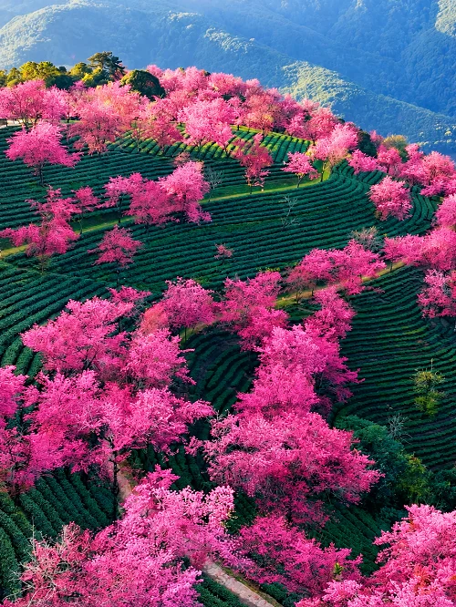 Yunnan travel in December