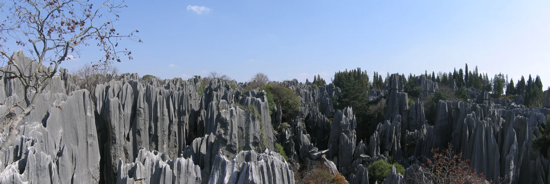Stone Forest & Jiuxiang: A Journey into Ancient Landscapes