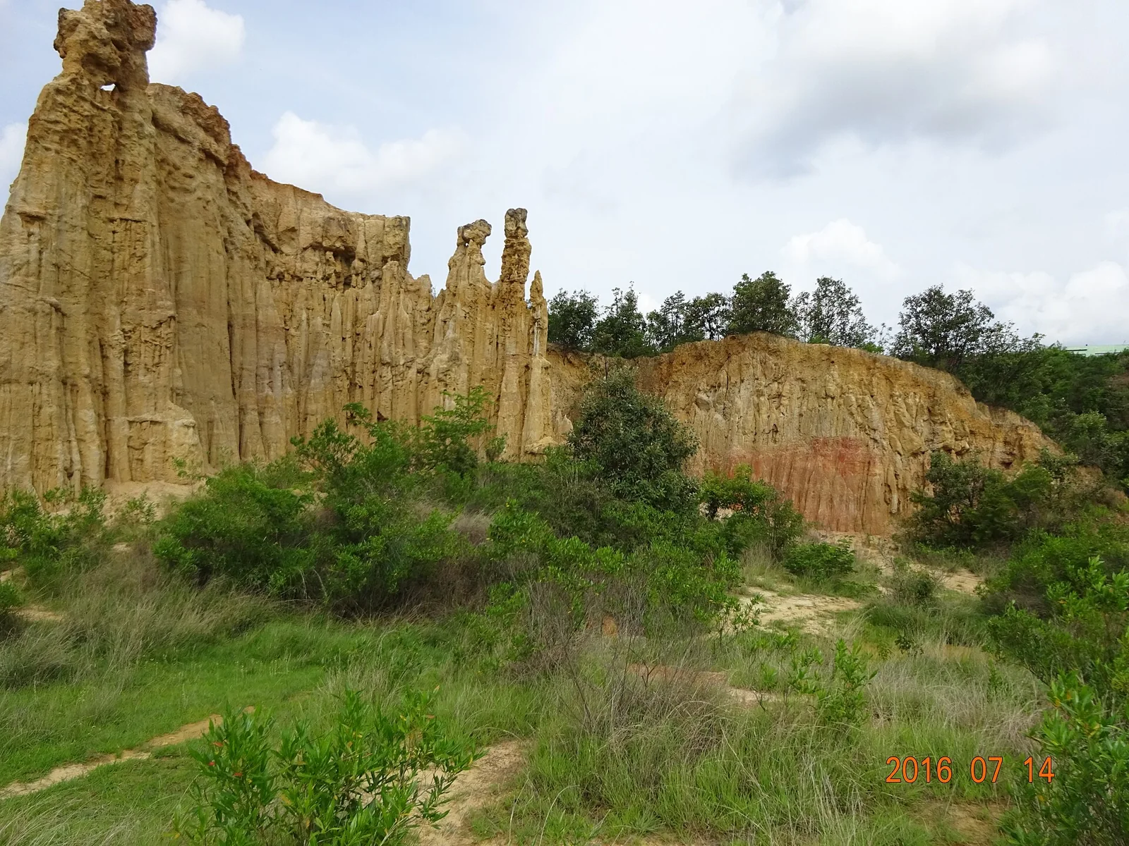 Earth forest1