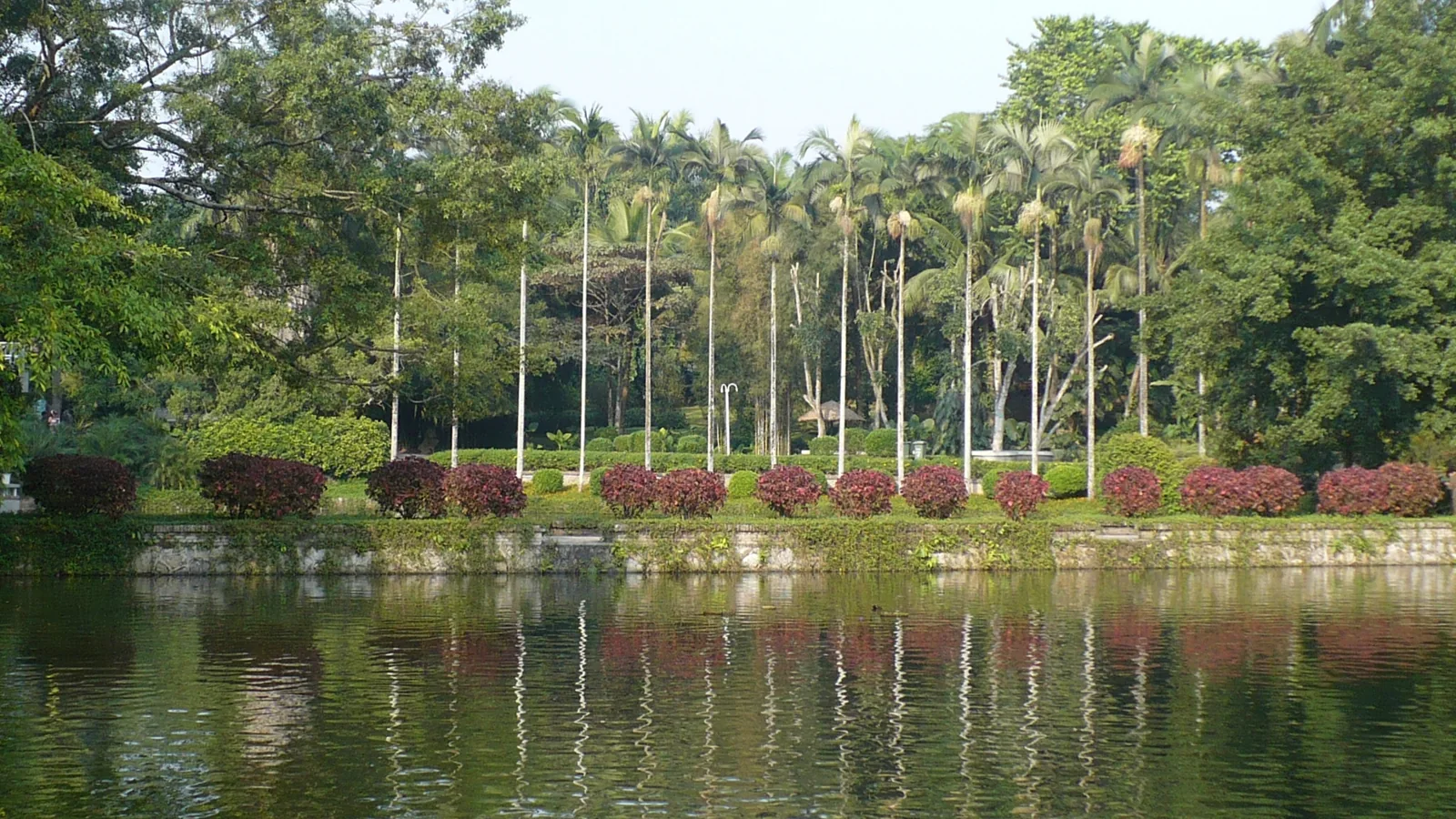 Tropical Botanical Garden, Xishuangbanna - panoramio - Colin W (1)