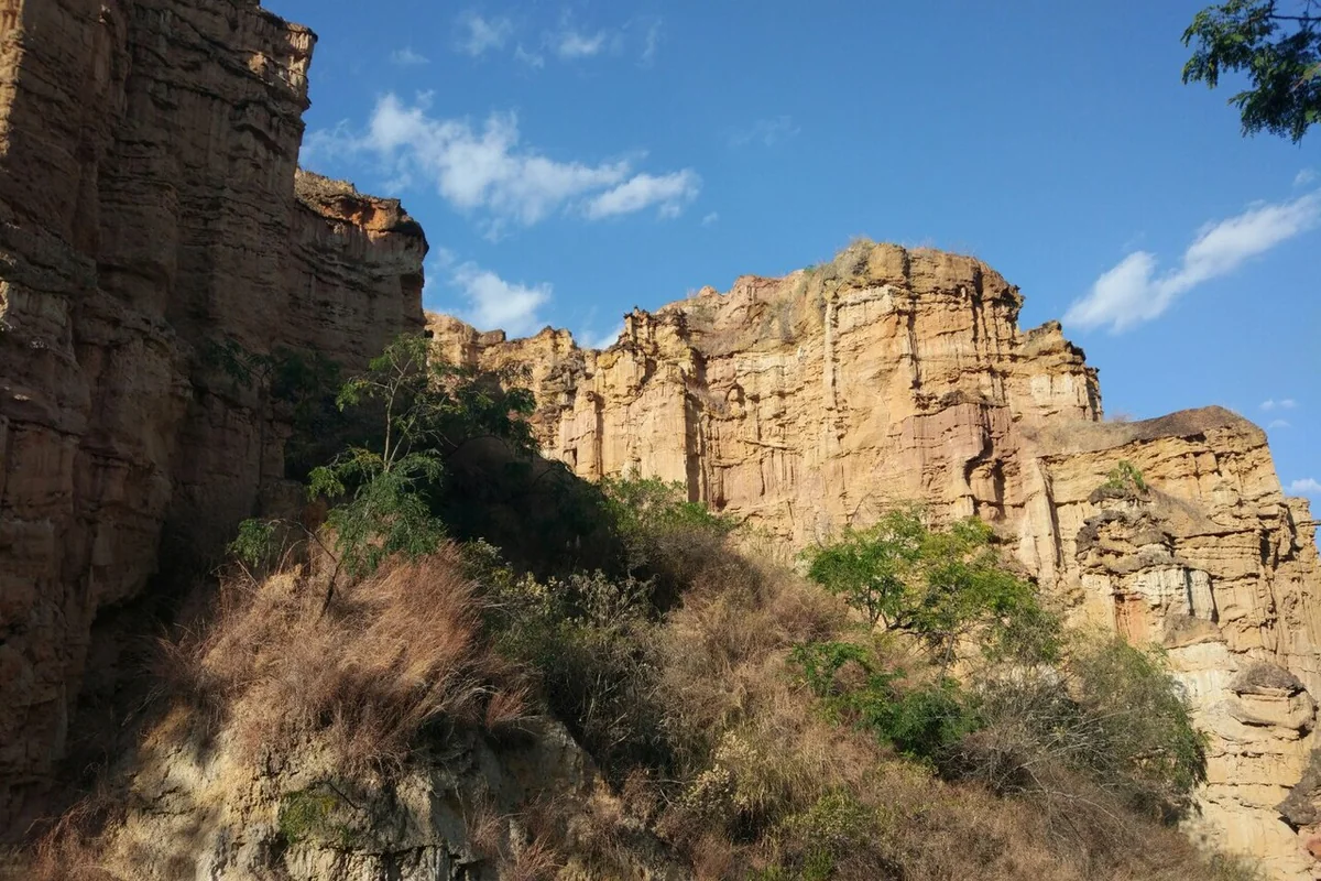 元谋物茂土林 14.jpg