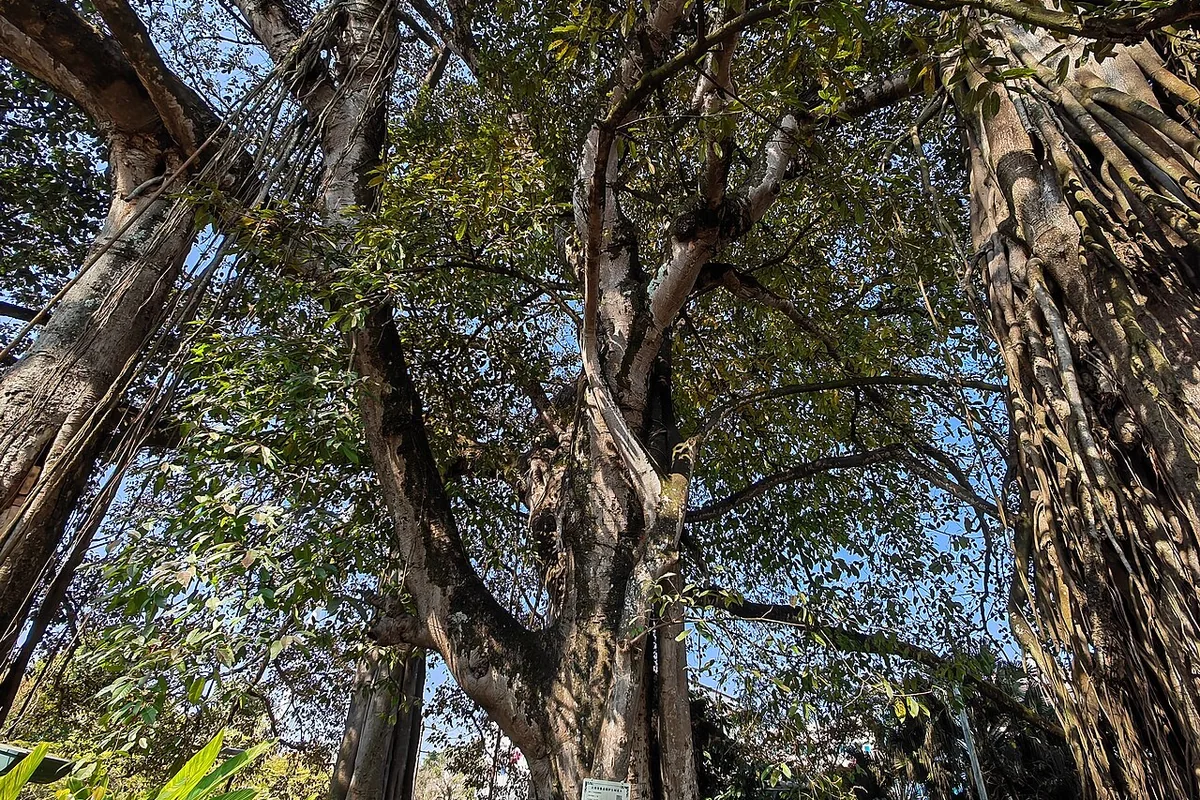 思茅区 19.jpg