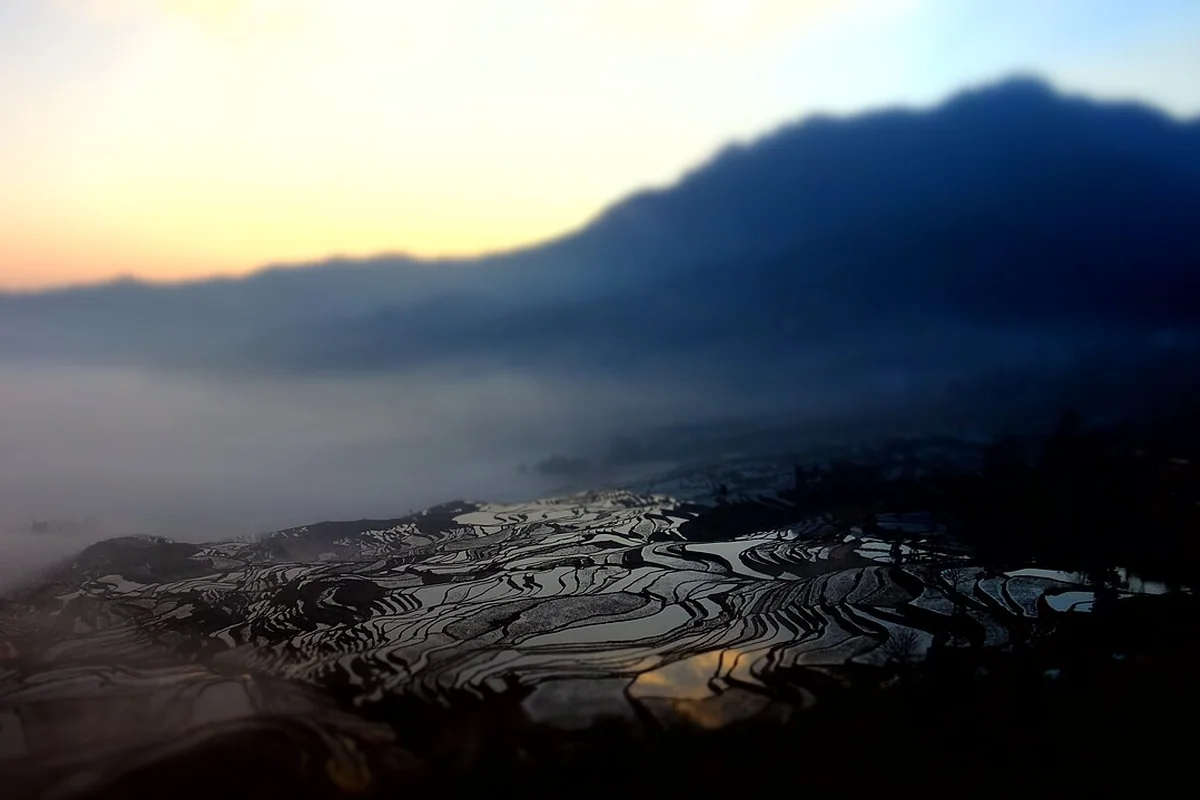 Yuanyang Hani Rice Terraces at Sunrise.jpg