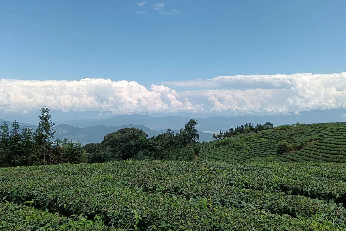 Mountains between Mangshi City and Longchuan County.jpg