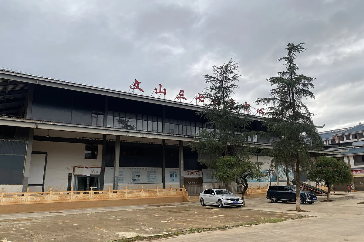 文山三七拍卖中心 - 2023-07-19.jpg