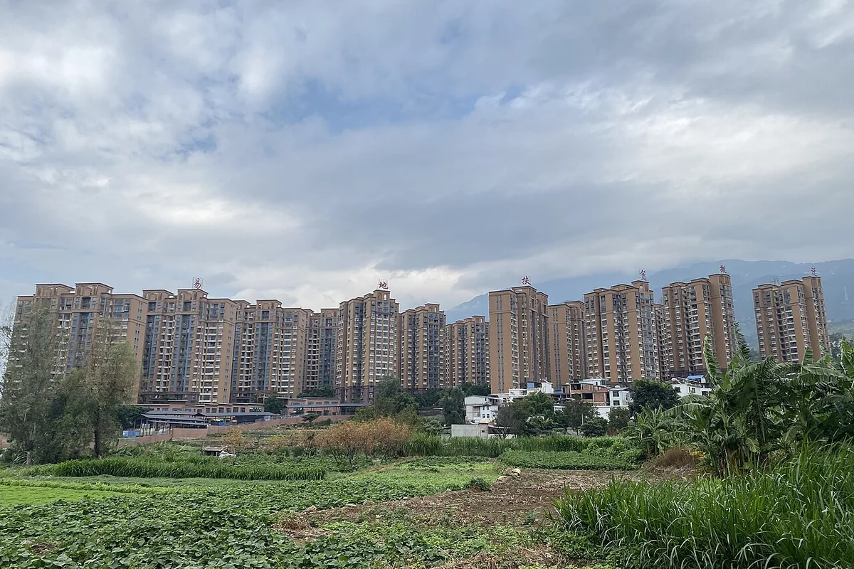东川隆康园 - 2024-10-03.jpg