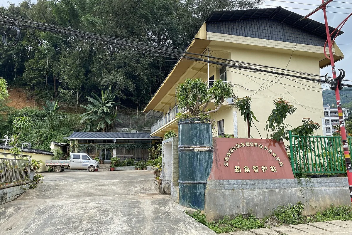 云南南滚河国家级自然保护区管护局勐角管护站 - 2024-10-15.jpg