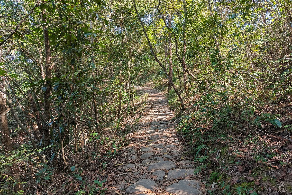 那柯里茶马古道遗址 2025-01-25 05.jpg