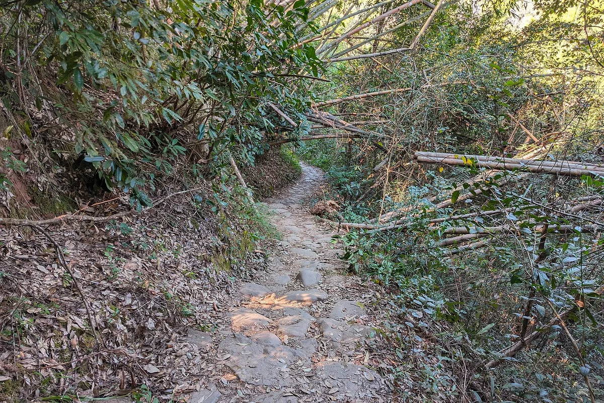 那柯里茶马古道遗址 2025-01-25 09.jpg