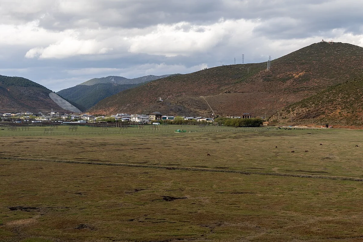 香格里拉草场 - 2025-05-07 11.jpg