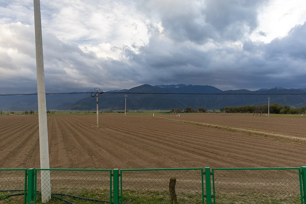 香格里拉农田 - 2025-05-07.jpg