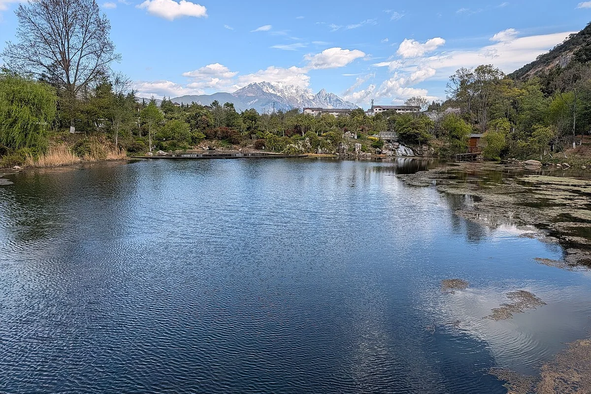 丽江黑龙潭 2026-04-01 18.jpg