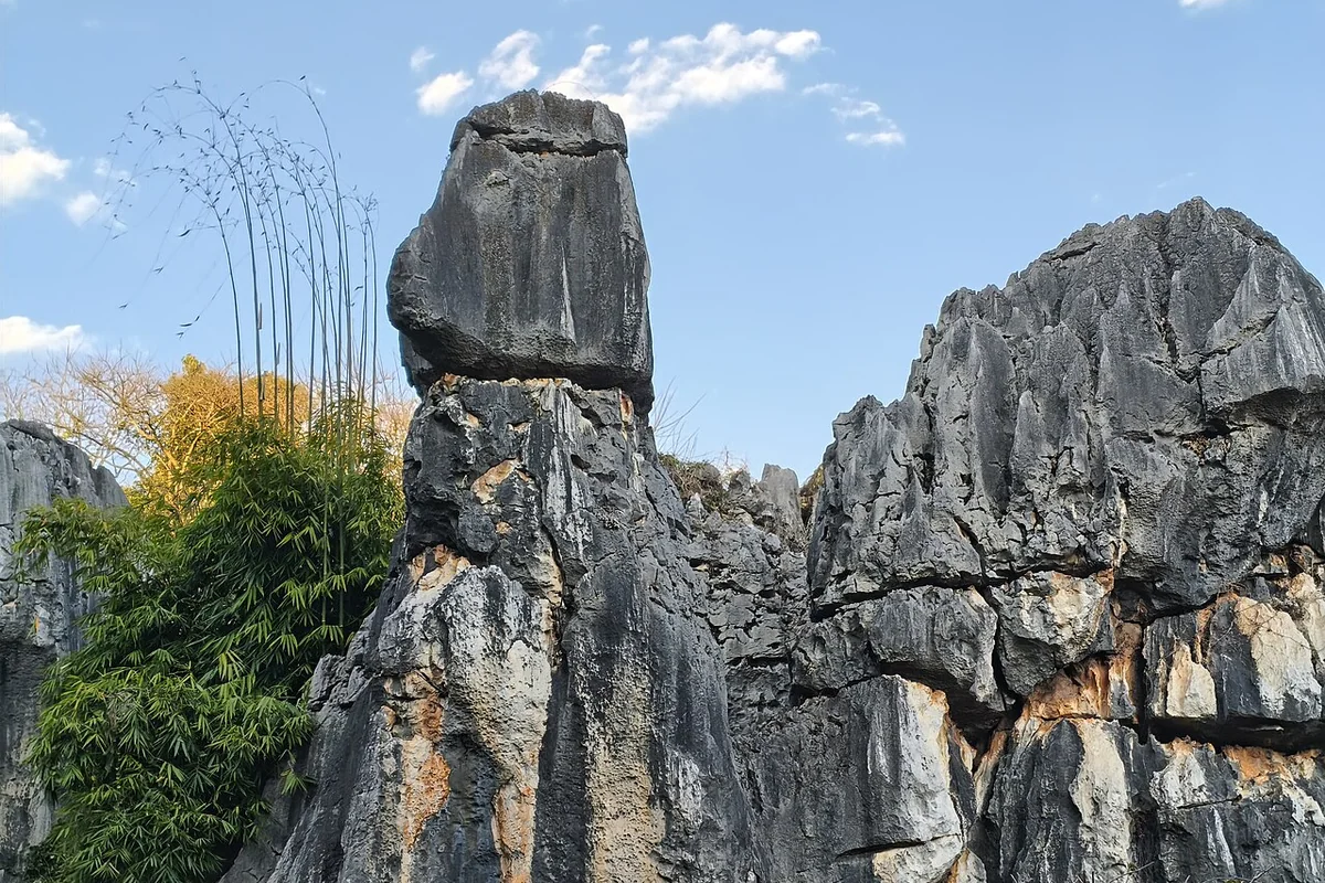 20260222 Stone Forest, Shilin 05.jpg
