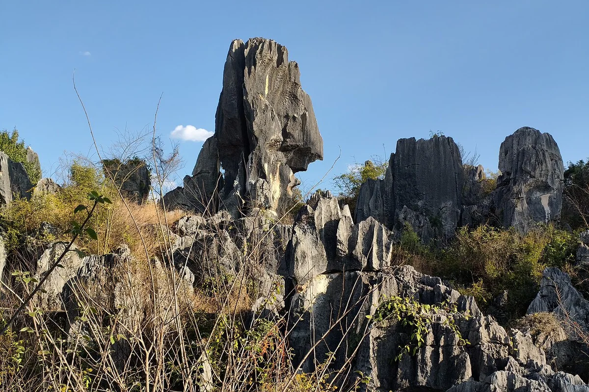 20260222 Stone Forest, Shilin 07.jpg