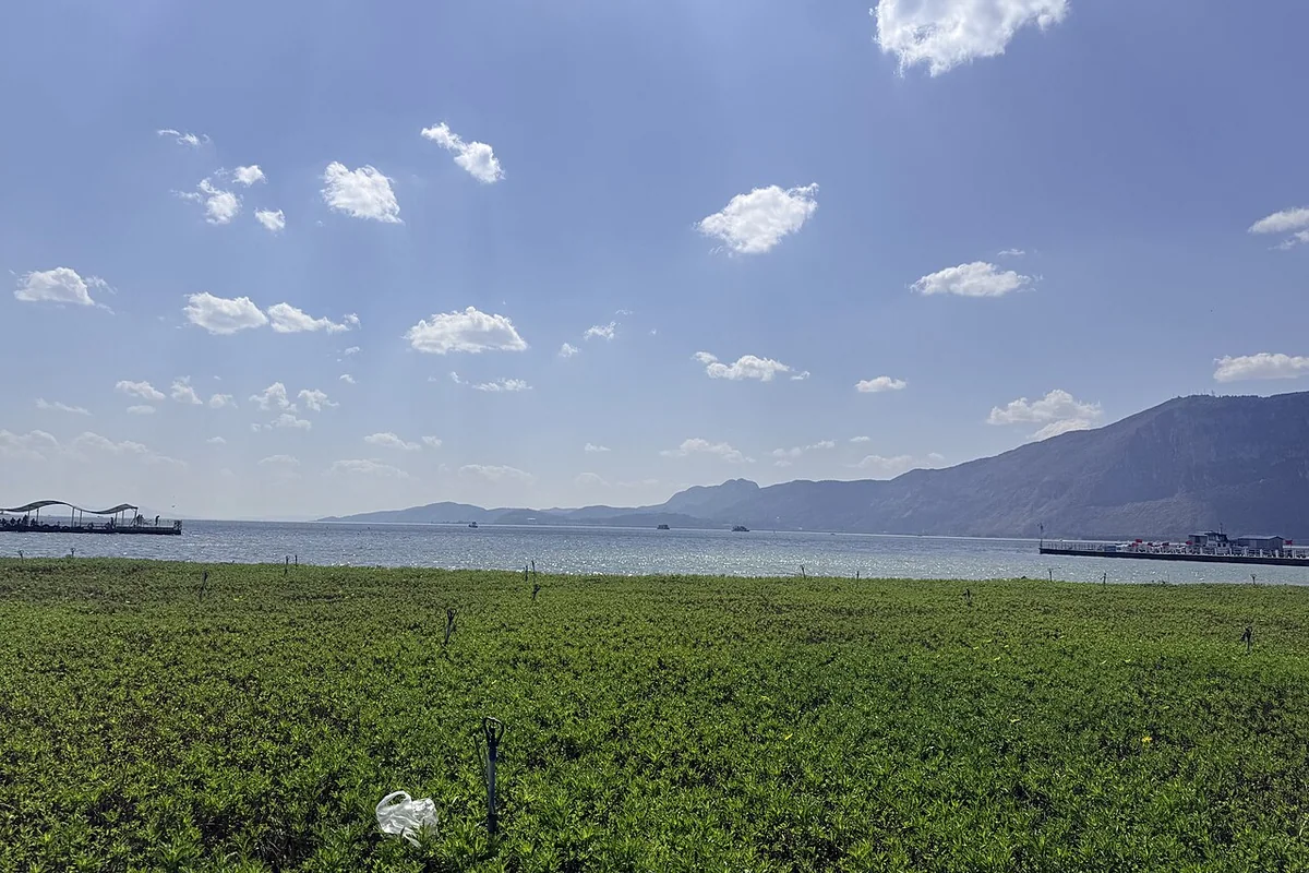 20260222 Kunming Dianchi Lake 06.jpg