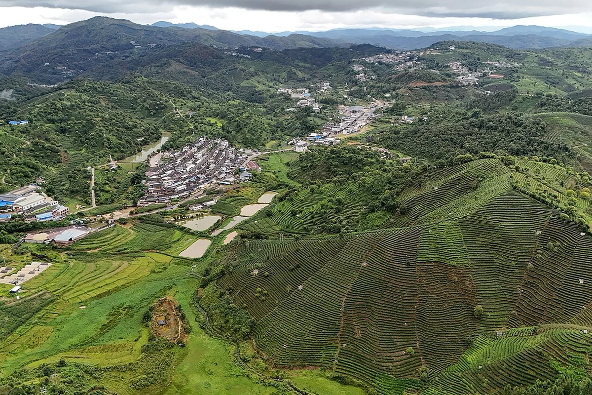 Tea Plantations around Yixiang, Pu'er 02.jpg