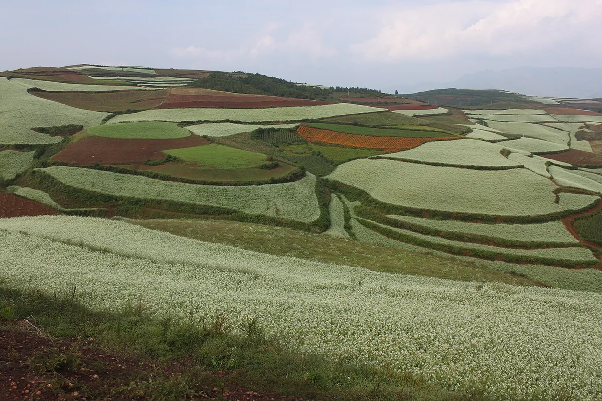 Red earth at Hongtudi1.jpg