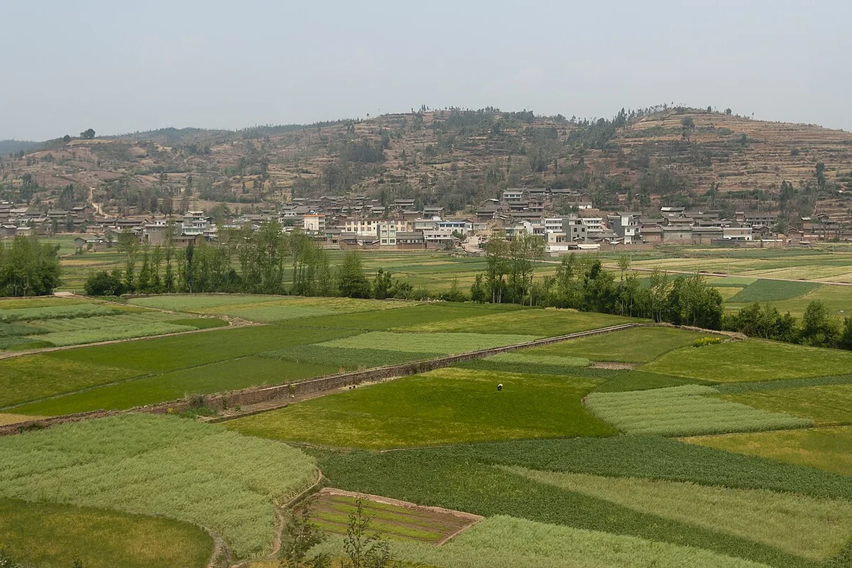 Yunnan China Farmer-in-his-grainfield-02.jpg