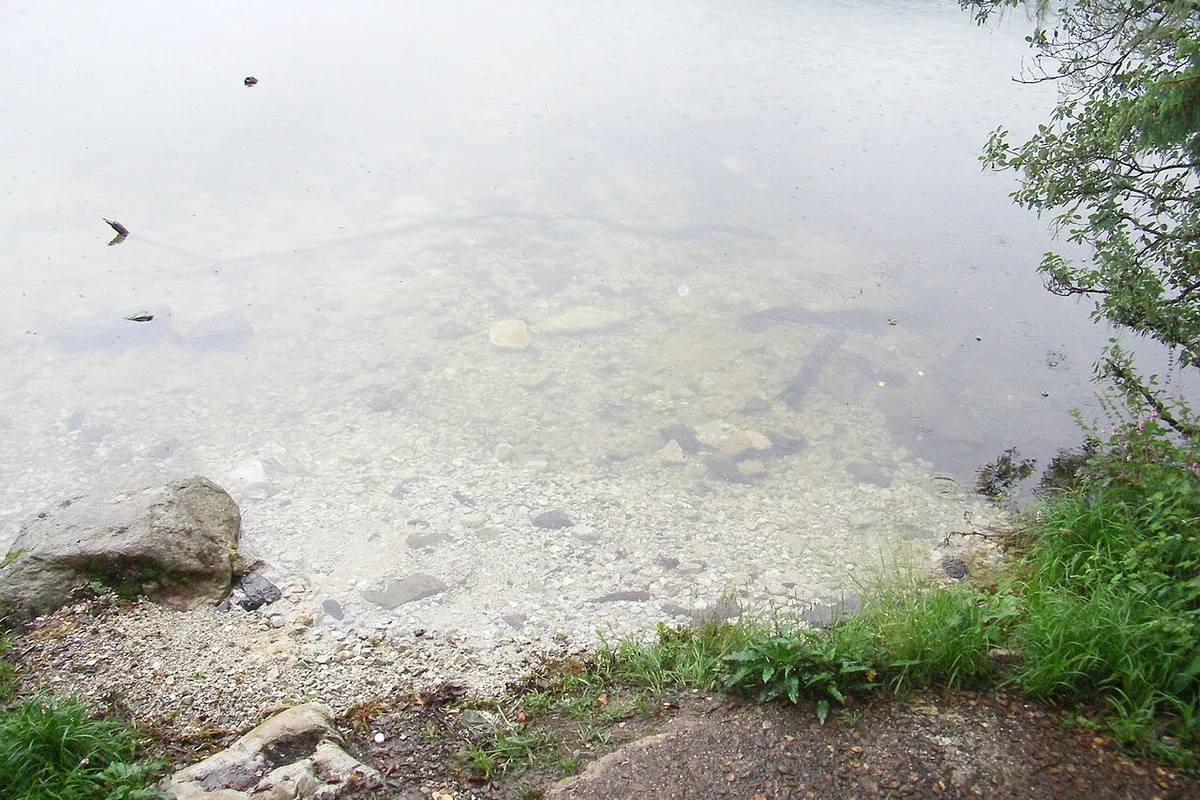 丽江玉龙 潭水 - panoramio.jpg