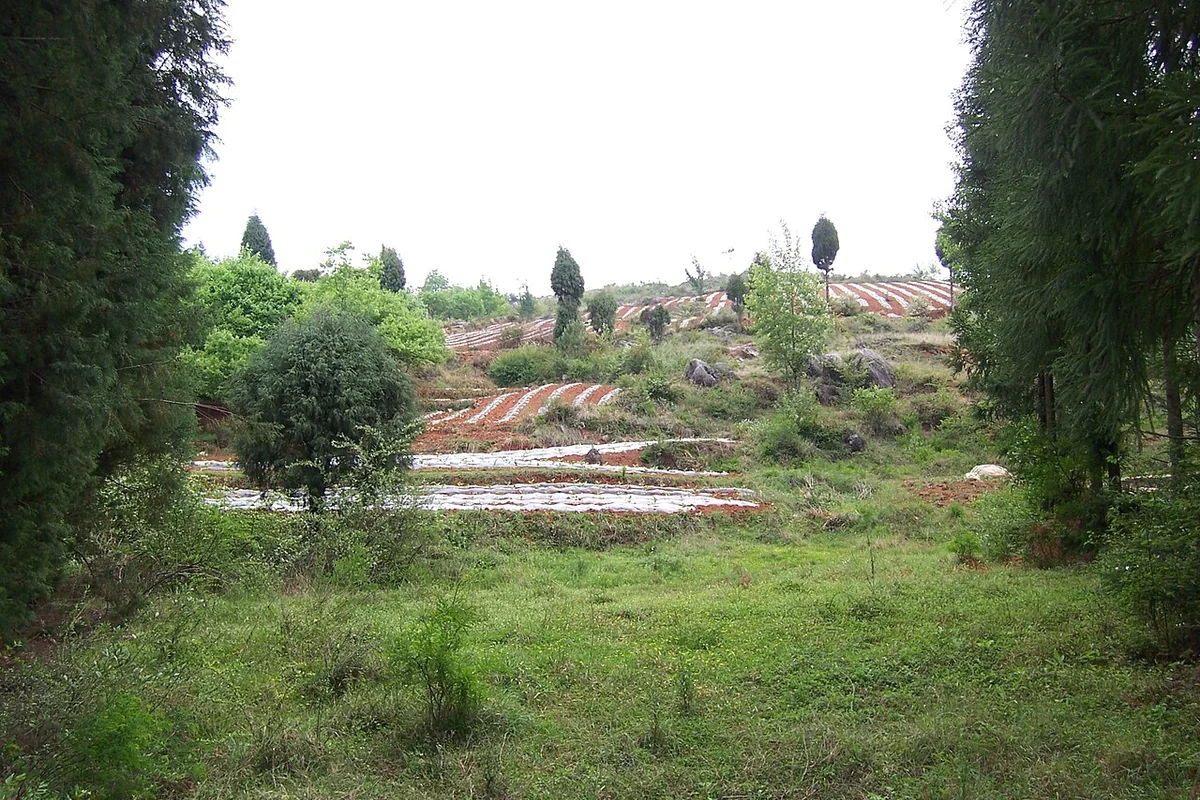 Zhaoyang, Zhaotong, Yunnan, China - panoramio - hilloo (10).jpg