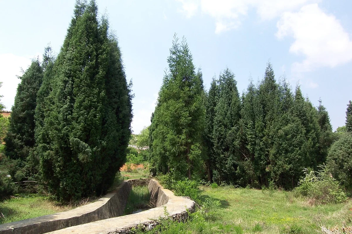 Zhaoyang, Zhaotong, Yunnan, China - panoramio - hilloo (17).jpg