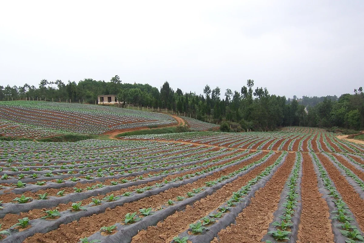 Zhaoyang, Zhaotong, Yunnan, China - panoramio - hilloo (18).jpg