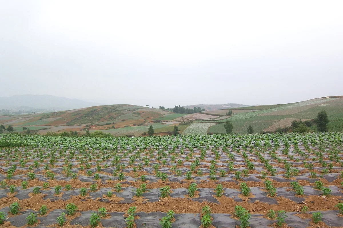 Zhaoyang, Zhaotong, Yunnan, China - panoramio - hilloo (34).jpg