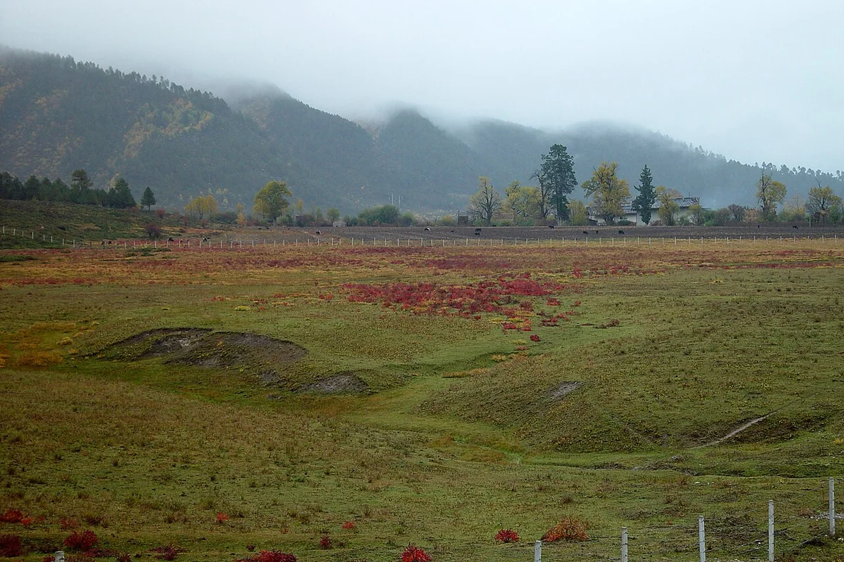 香格里拉-纳帕海 - panoramio.jpg
