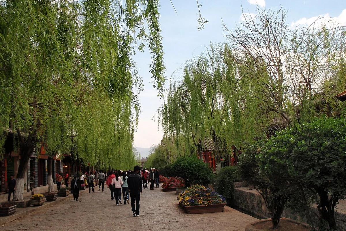 丽江古城 - panoramio (2).jpg