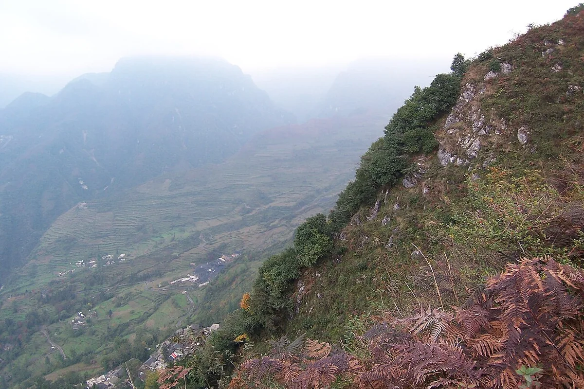 笋叶厂 - panoramio.jpg