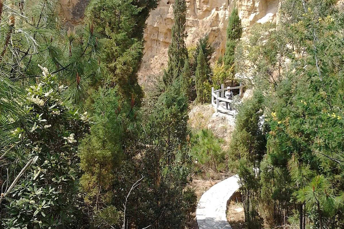 Luliang Colored Sandstone Forest - panoramio (7).jpg