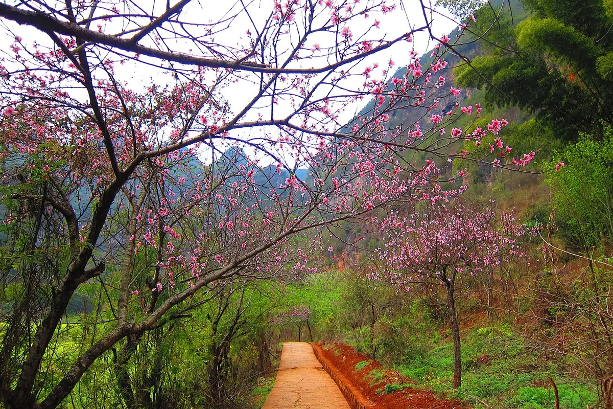 Bamei Village - panoramio (6).jpg