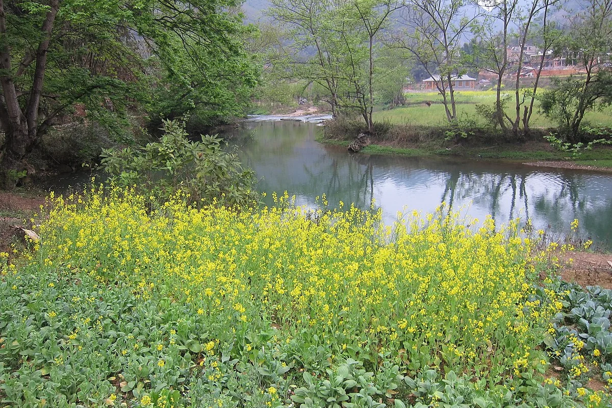 Bamei Village - panoramio (8).jpg