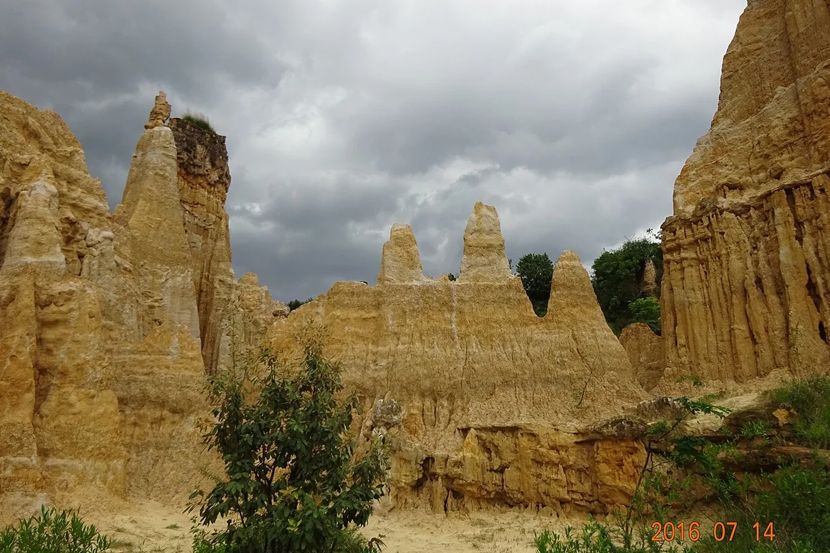 Earth forest3.jpg