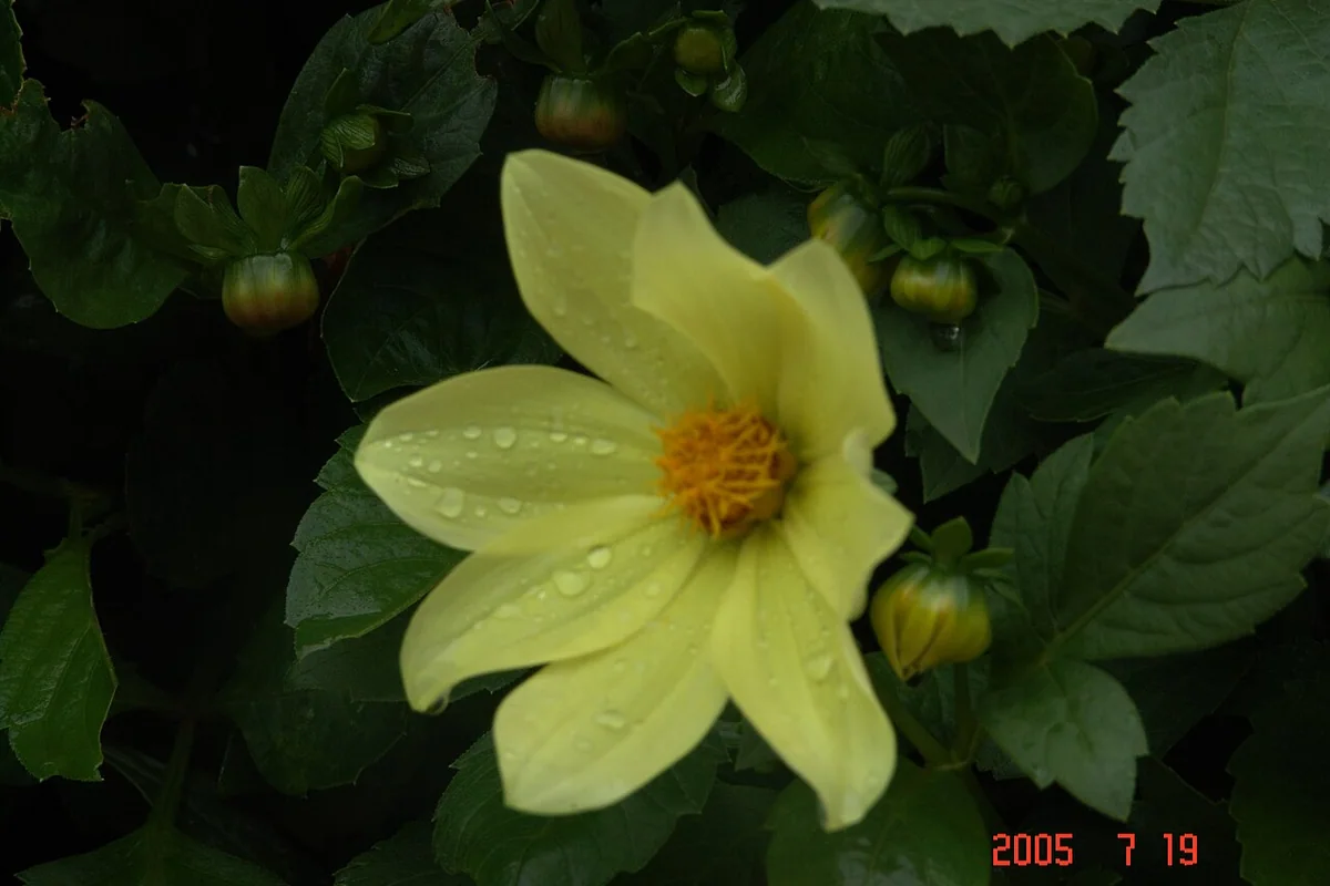 中國昆明808.jpg